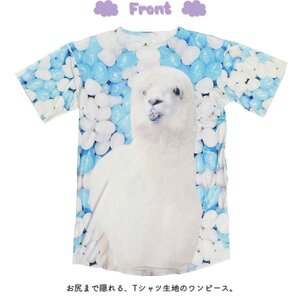 ACDC RAG Aplaca T-Shirt Dress