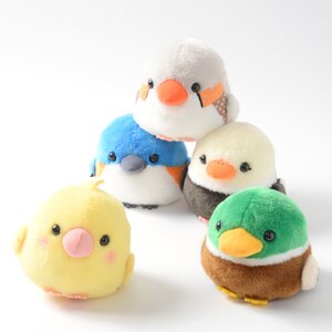 Kotori Tai Waku Waku Bird Plush Collection (Standard) Complete Set + Mini Plushie