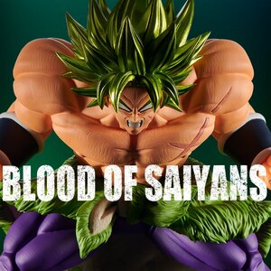 Dragon Ball Super Blood of Saiyans Special Vol. 17: Broly [Pre-order]