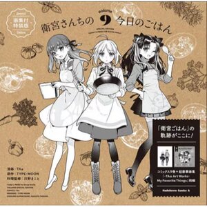 Today's Menu for Emiya Family Vol. 9 Special Edition w/ Art Works