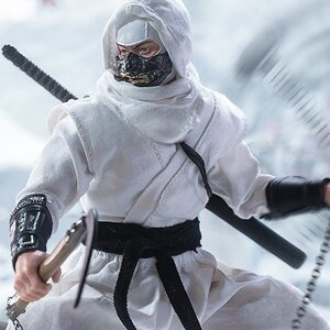Shadow Ninja (White) 1/12 Scale Action Figure [Pre-order]