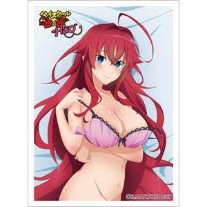 High School DxD Hero Sleeve Rias Gremory