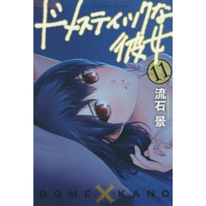 Domestic Girlfriend Vol. 11