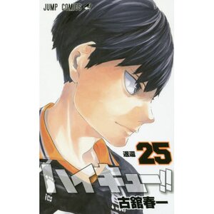 Haikyu!! Vol. 25