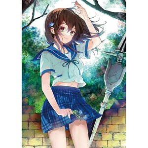 Manyako Art Works 2: Strike The Blood