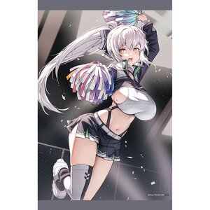 Gakaku Collection Cheerful Girls 07 Itaco B2 Tapestry Skirt Style