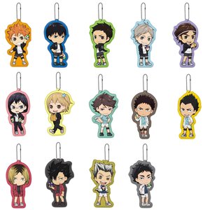 Chibi Kyun - Illustrations Haikyu-!! Big Character Tag 14-Tag Set