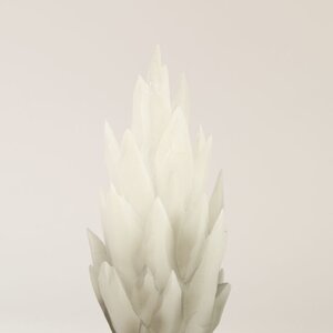 Special Effects No.5 Kaboom Gray