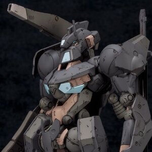 Frame Arms Shadow Tiger