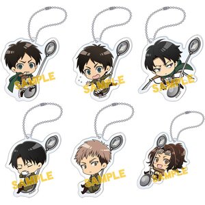Attack on Titan Acrylic Keychain Box Set