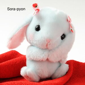 Pote Usa Loppy Cuddly Plushies Sora-pyon