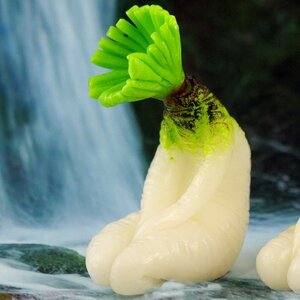 Sexy Sitting Vegetable Ornament Collection Vol. 2 Radish - Sitting Seiza-style