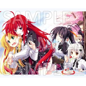 High School DxD Canvas Art Hanami Ver.