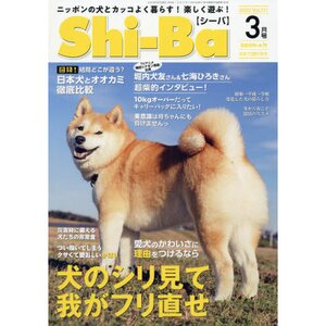 Shi-Ba March 2020