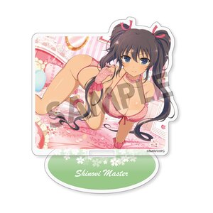 Shinobi Master Senran Kagura: New Link Acrylic Figure Homura