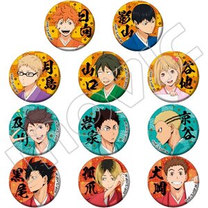Haikyu!! Karasuno vs Shiratorizawa Cloth Character Badge Collection Box Set