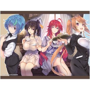 High School DxD B2 Tapestry C (Re-run)