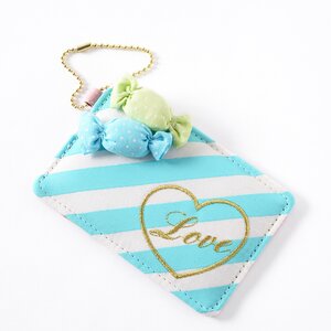 FLAPPER Candy Pass Case Mint Green
