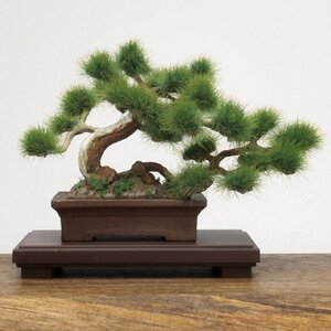 The Bonsai Plastic Model Kit 1