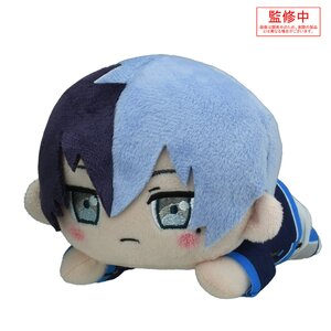 Project Sekai Colorful Stage! feat. Hatsune Miku Aoyagi Toya: Brand New Style Ver. Nesoberi Plush S