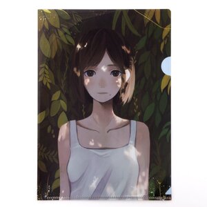 Shinobu Sato Clear File