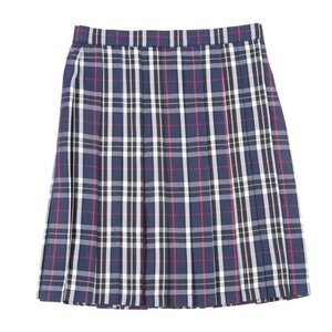 Teens Ever Navy Blue x White High School Uniform Skirt L