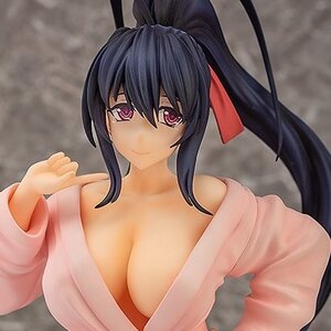High School DxD Hero Akeno Himejima: Bathrobe Ver. 1/7 Scale Figure