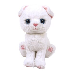 Kitten Plushie Scottish Fold