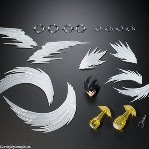 S.H.Figuarts Dragon Ball Z Son Goku's Effect Parts Set
