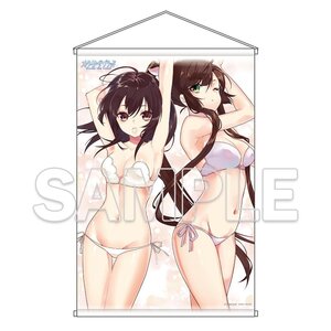 Strike the Blood B2 Tapestry D [Pre-order]