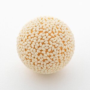 Sesame Ball Plastic Model