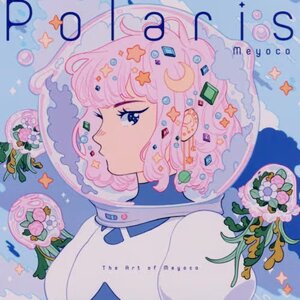 Meyoco Illustration Book: Polaris