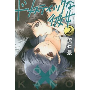 Domestic Girlfriend Vol. 2