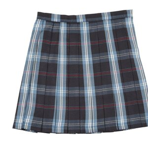Teens Ever Navy Blue x Blue High School Uniform Skirt L