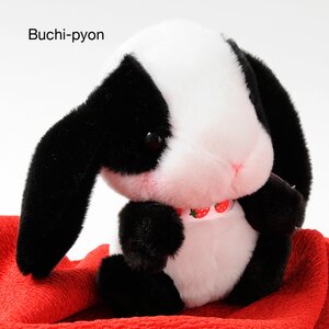 Pote Usa Loppy Cuddly Plushies Buchi-pyon