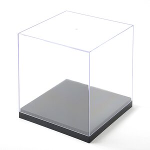 Collection Display Case (Regular)