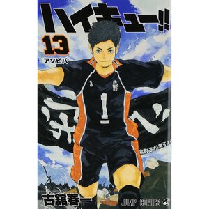 Haikyu!! Vol. 13