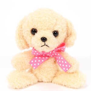 Kuta Kuta Toy Poodle Plush Collection Cream