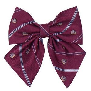 Teens Ever Stripe Ribbon Rouge w/ School Badge