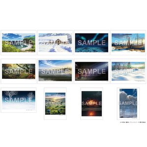 Vinland Saga Art Postcard Set