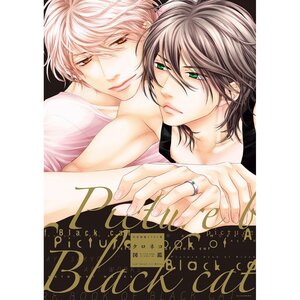 Aya Sakyo Artworks: Picture Book of Black Cat