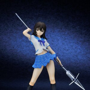 Strike the Blood - Yukina Himeragi