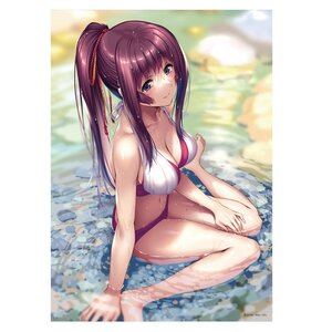 Shy Girls in Love Clear Poster Neru Shiduki: Gamers