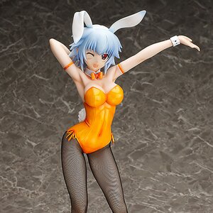 IS <Infinite Stratos> Tatenashi Sarashiki: Bunny Ver.