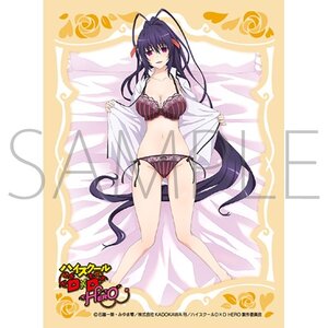 Character Sleeve Collection Matte Series High School DxD Hero MT1872 Akeno Himejima