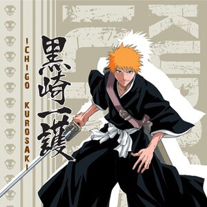 Bleach Ichigo Kurosaki Wall Scroll