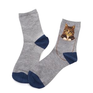 In Sneaker Socks Cat