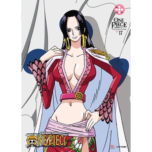 One Piece Collection 17 DVD