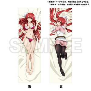 Classroom for Heroes Dakimakura Pillow Cover Arnest