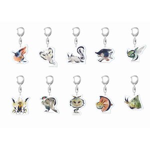 Monster Hunter Rise Environmental Biology Icon Acrylic Strap Collection Box Set